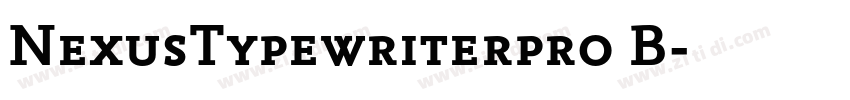 NexusTypewriterpro B字体转换